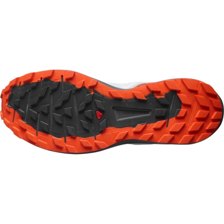 Salomon Sense Ride 4 Men's Trail Running Shoes Grey | CA 49L7